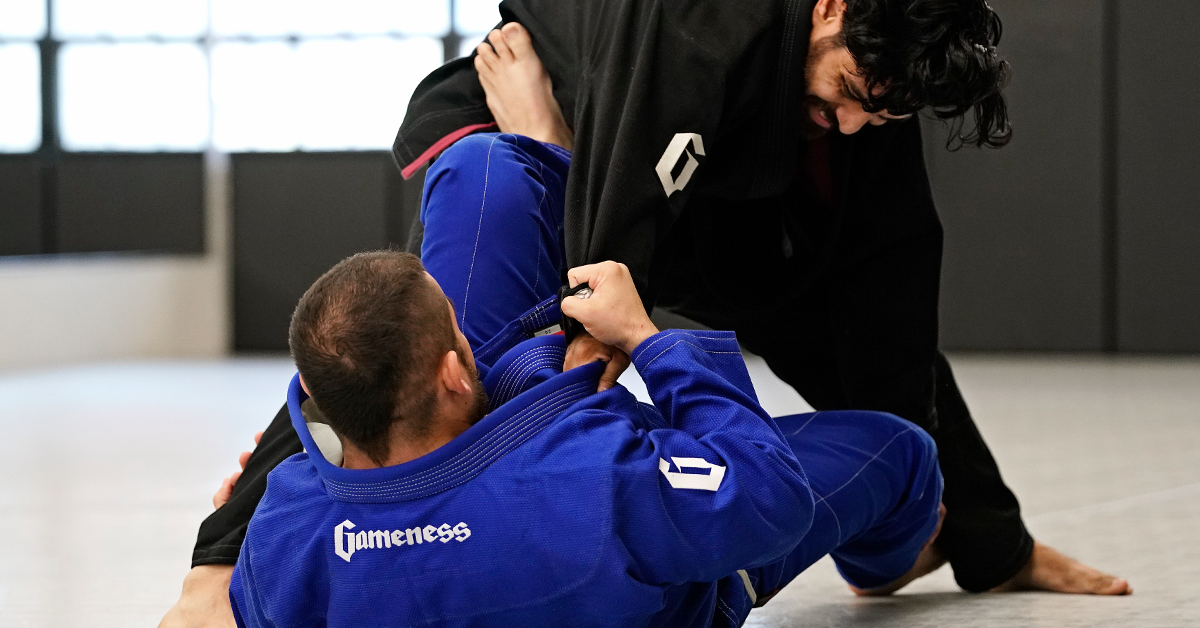 martial artists sparring on mats