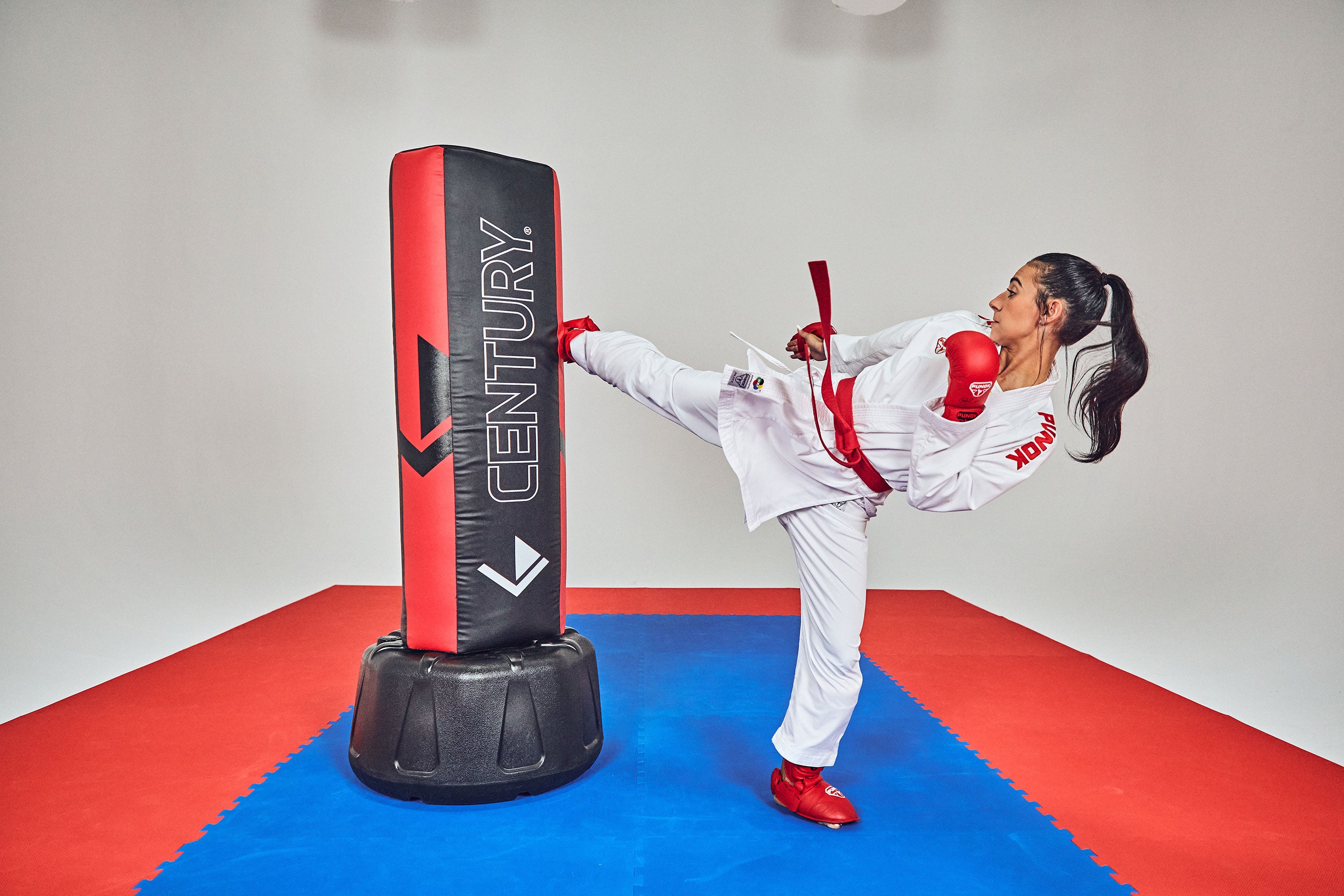 martial artist kicking freestanding bag