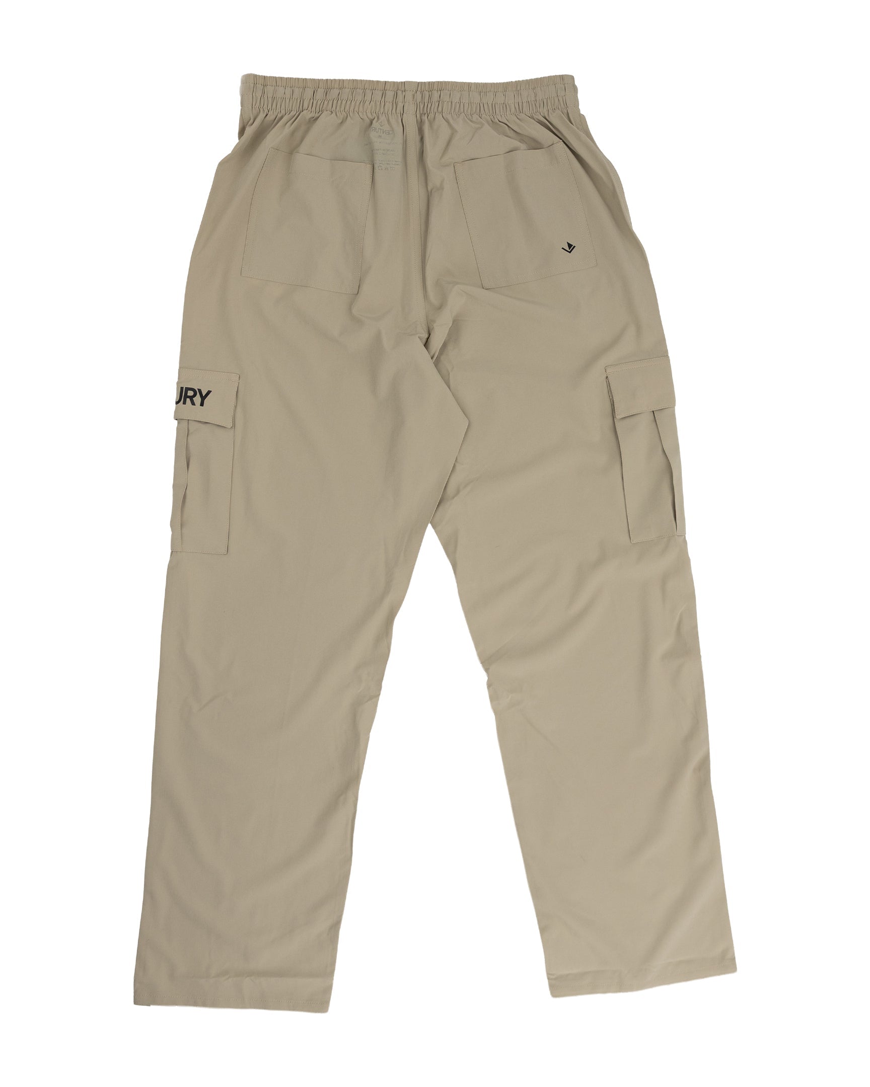 Men's Cargo Pants V2