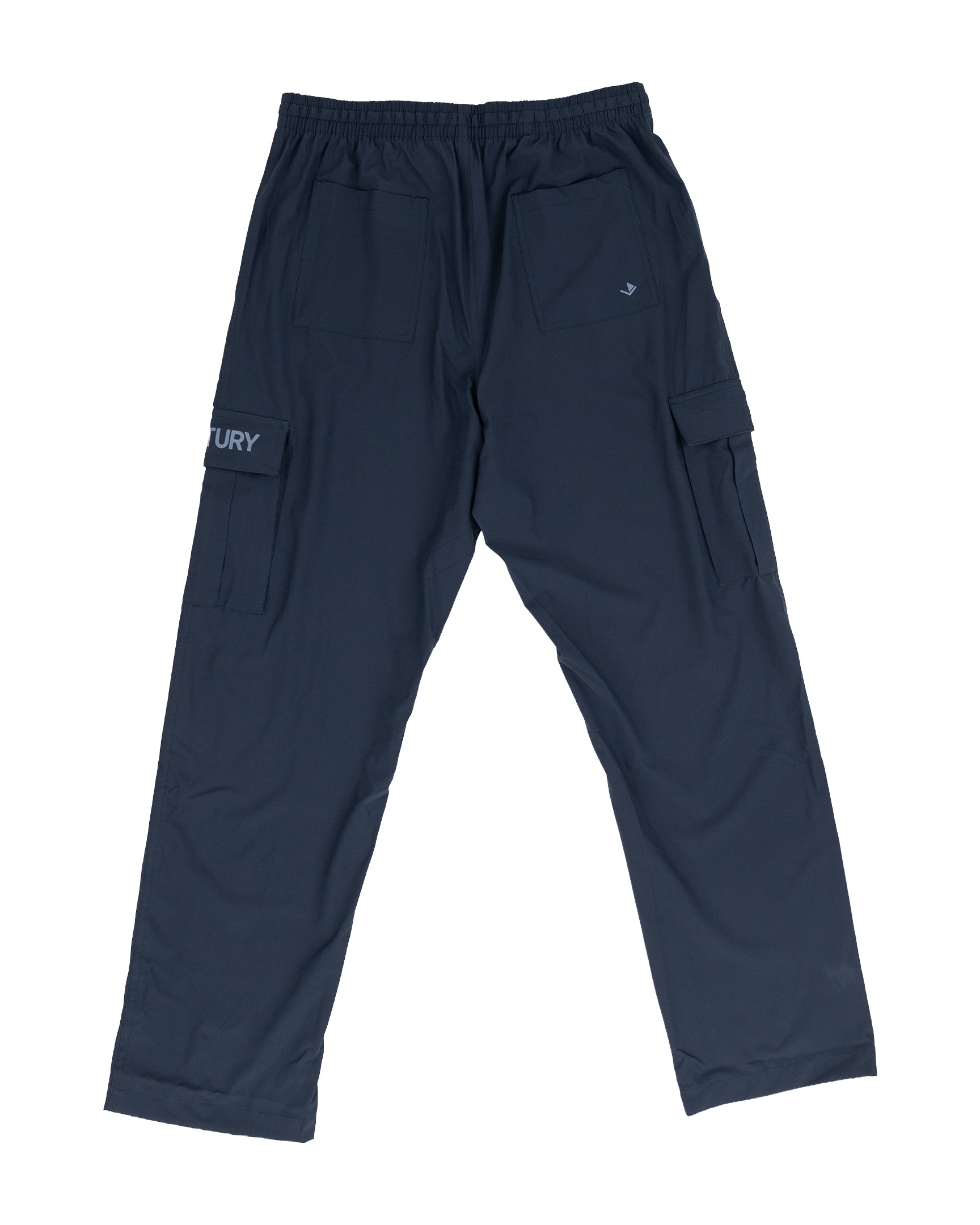 Men's Cargo Pants V2