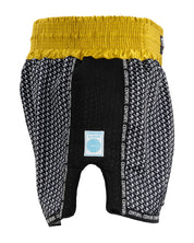 WAKO Tenacity K1/Low Kick Shorts