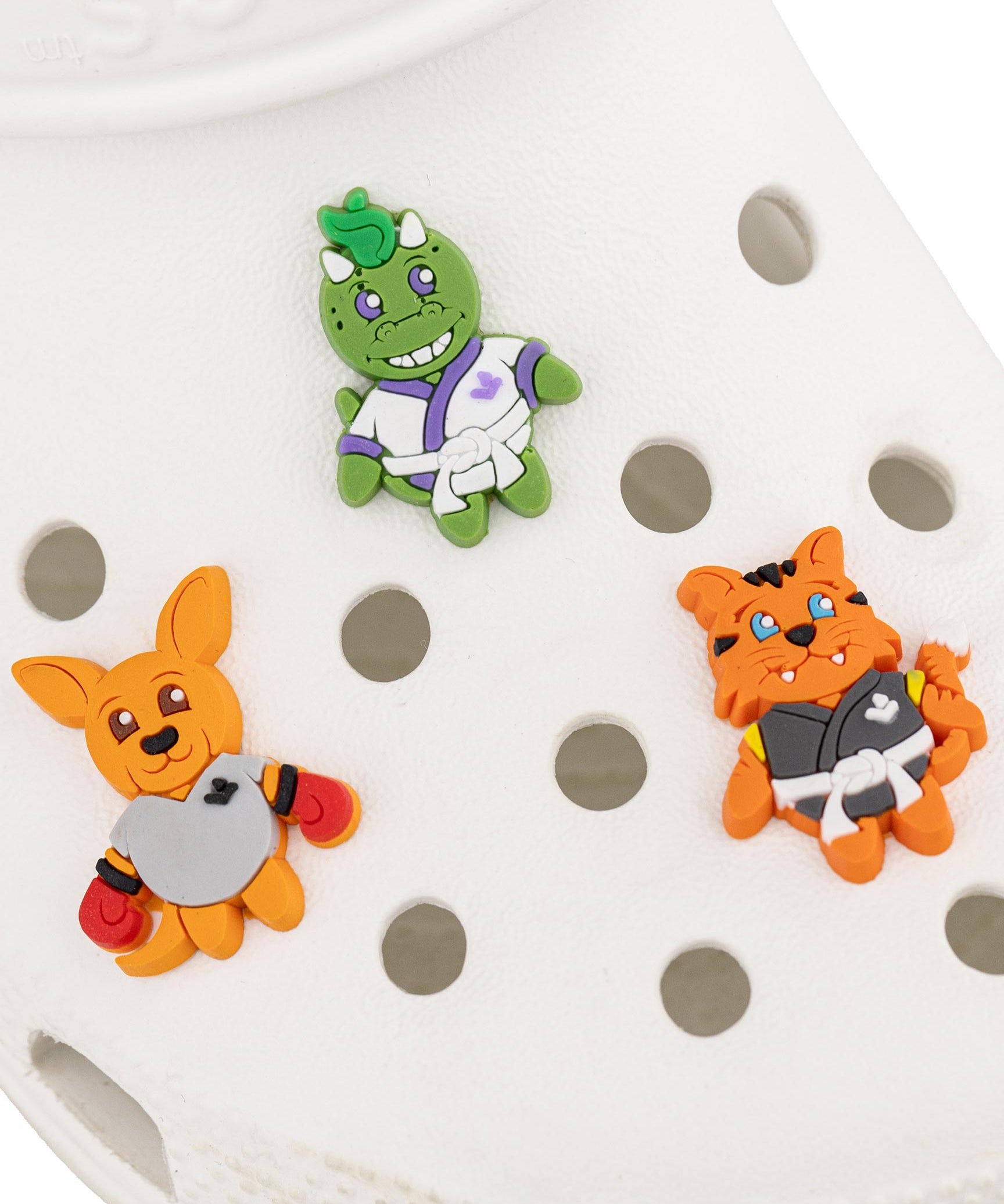 Lil' Dragon and Friends Shoe Charm 3 Pack