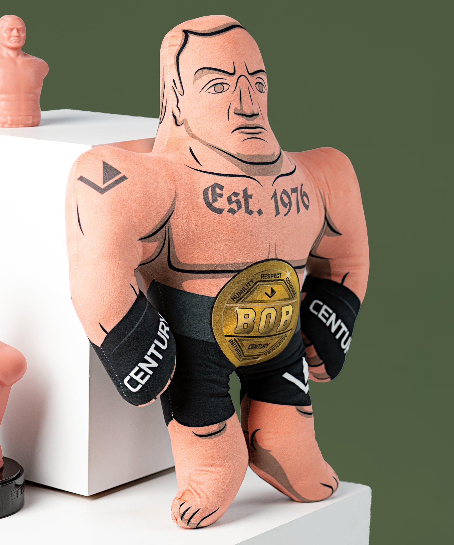 BOB Fight Pillow
