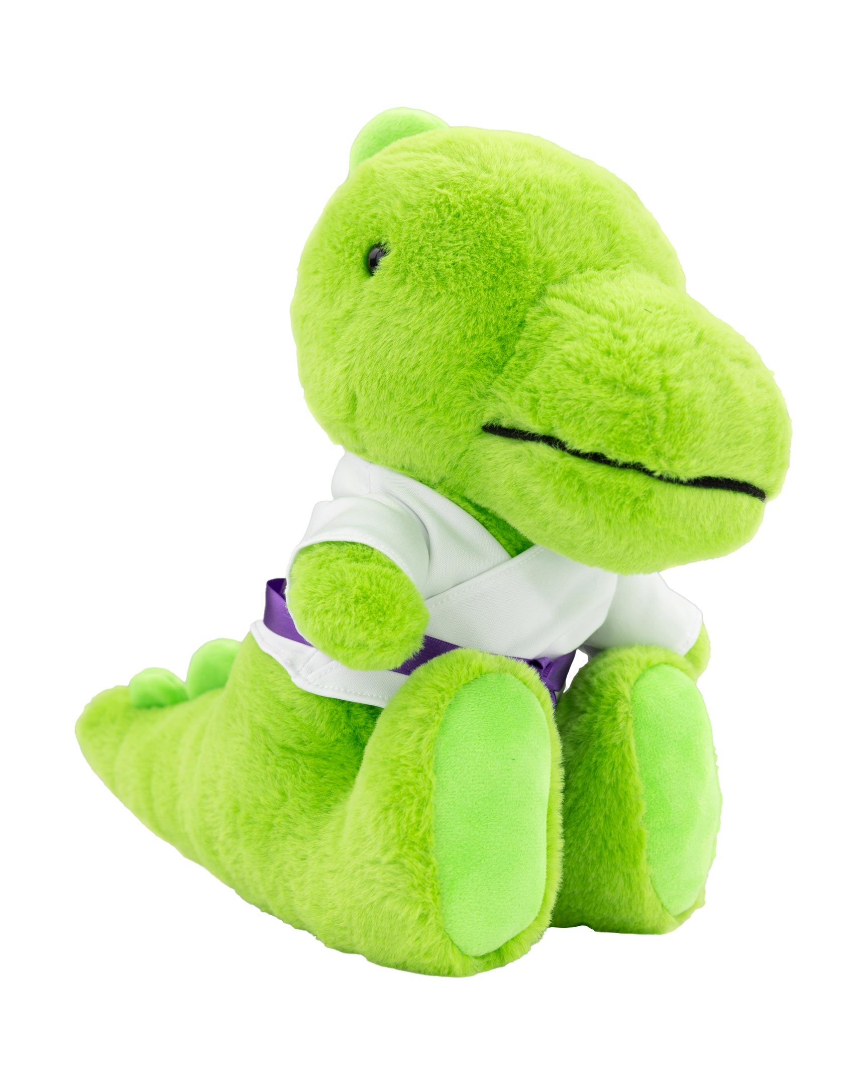 Lil' Dragon Plush Toy