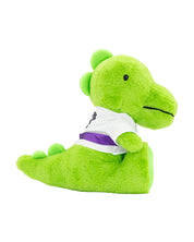 Lil' Dragon Plush Toy