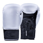 Century Custom Boxing Glove Silver
