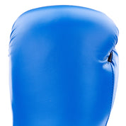 Century Custom Boxing Glove