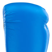 Century Custom Heavy Bag Glove