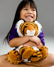 Rocky the Tiger