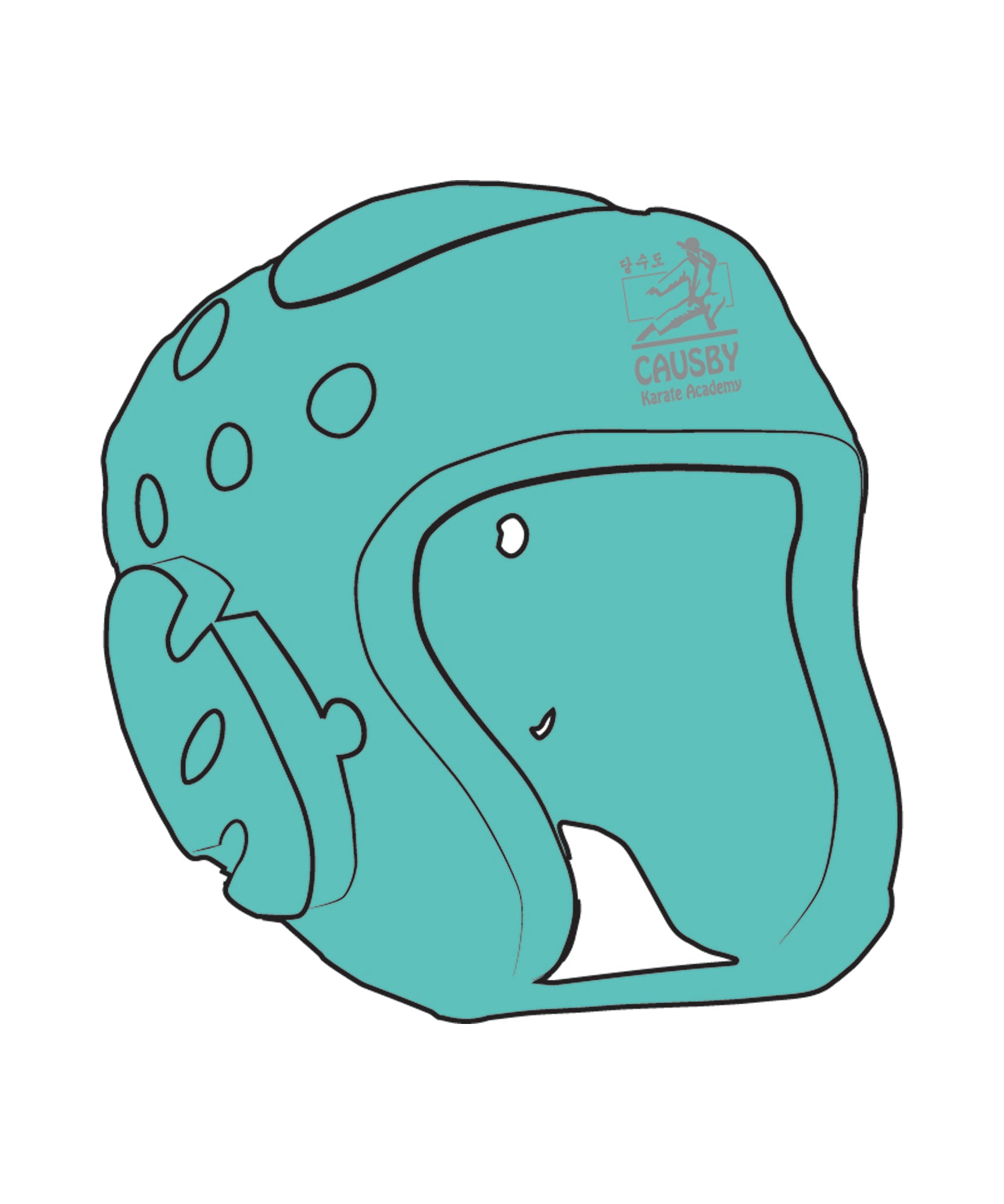 Century Headgear Custom, Teal