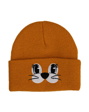 Lil' Dragon and Friends Beanie TGR