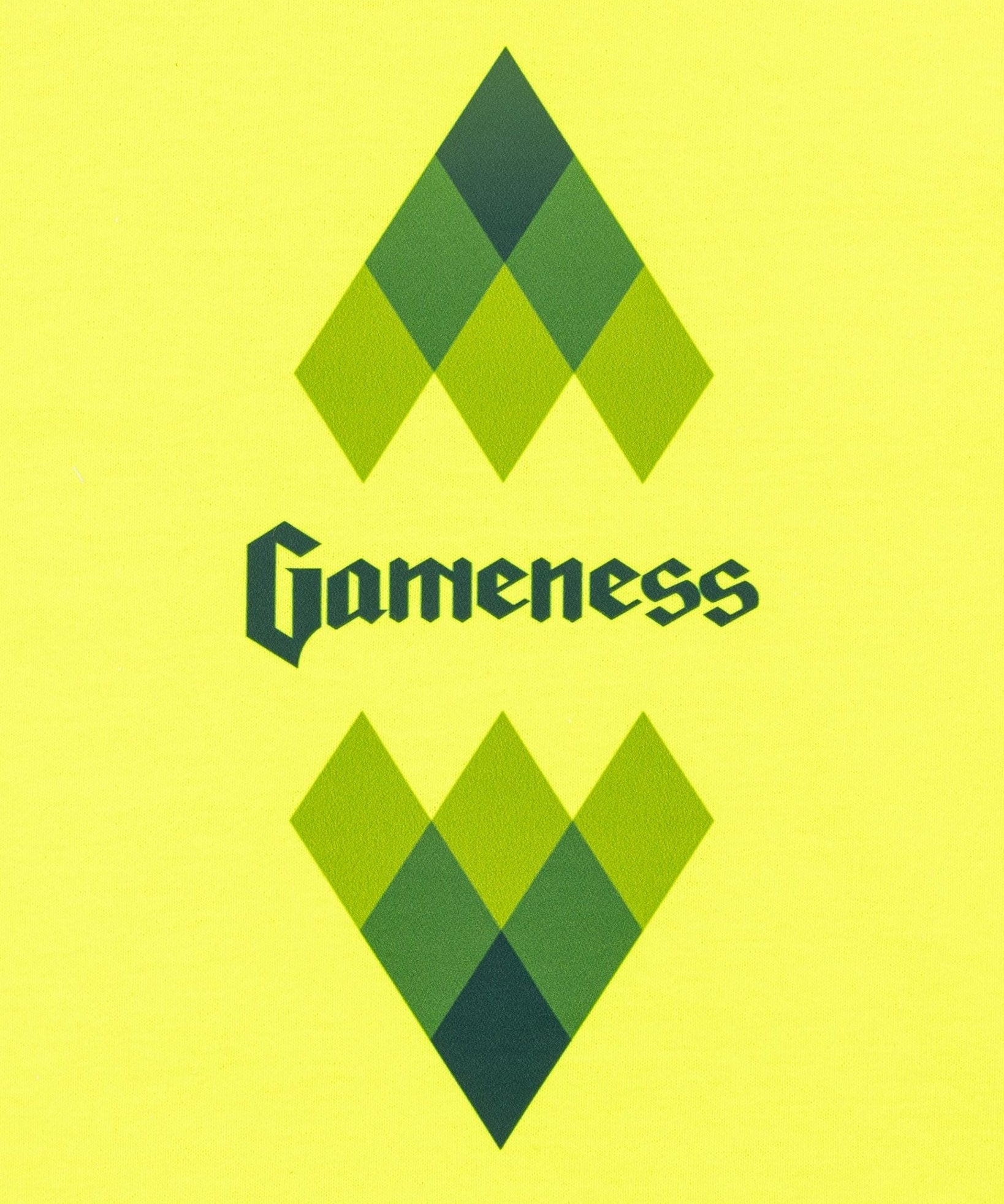 Gameness Youth Eco Tee