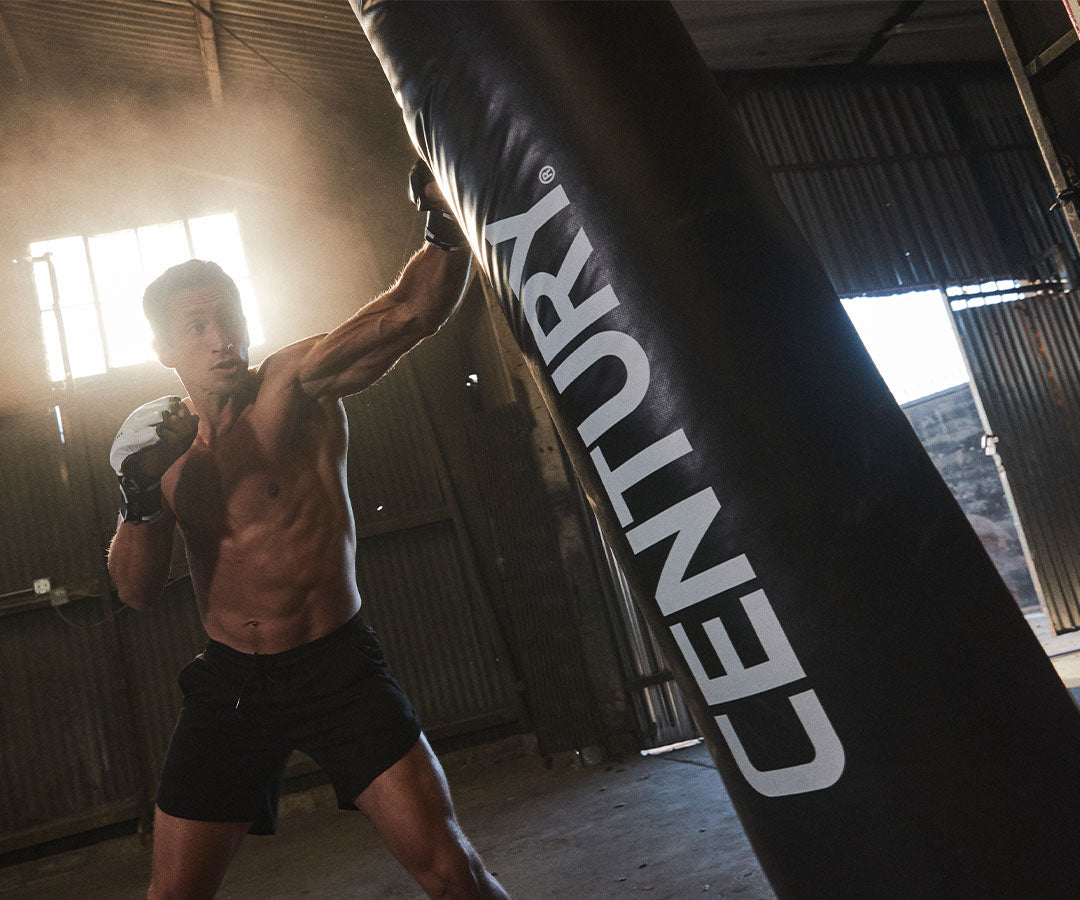 boxer punching bag