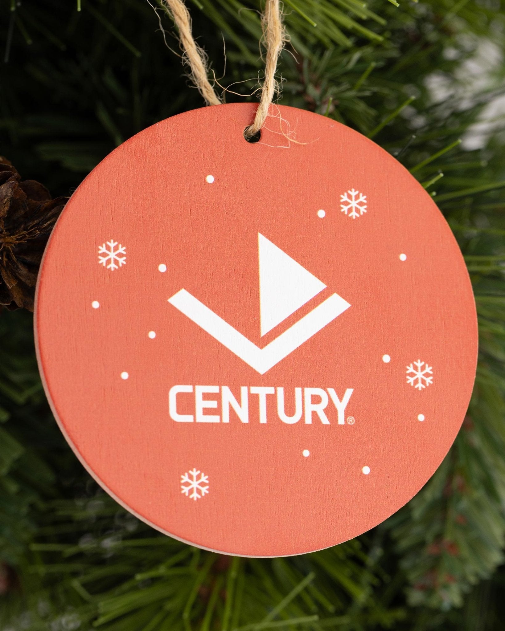 Lil' Dragon and Friends Ornaments - 3 Pack