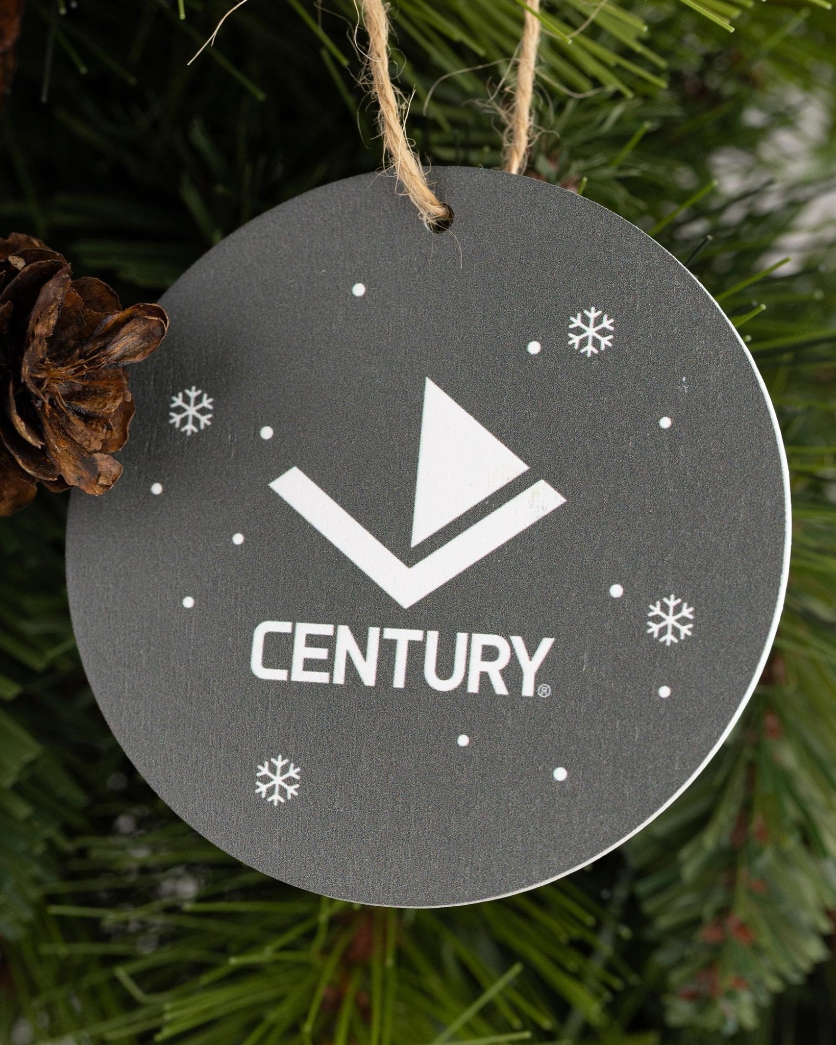 Lil' Dragon and Friends Ornaments - 3 Pack