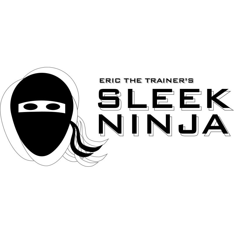 sleek ninja logo