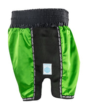 WAKO K1/LOW KICK SHORT 2.0
