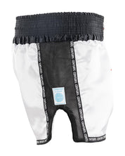 WAKO K1/LOW KICK SHORT 2.0