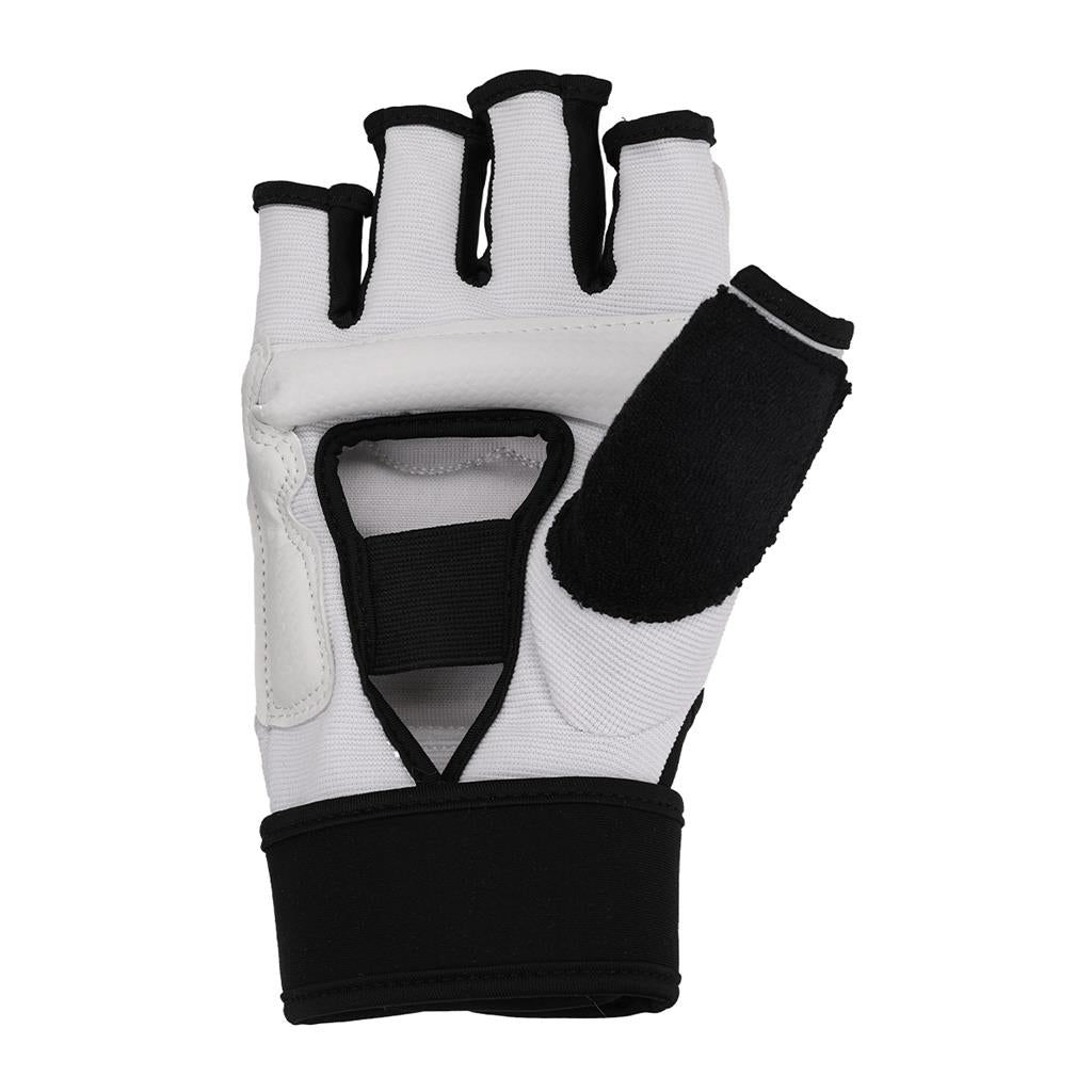 Hand Protector Lab World Elite Hand Protector – Century US Wholesale